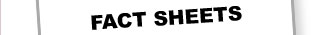 Fact Sheet